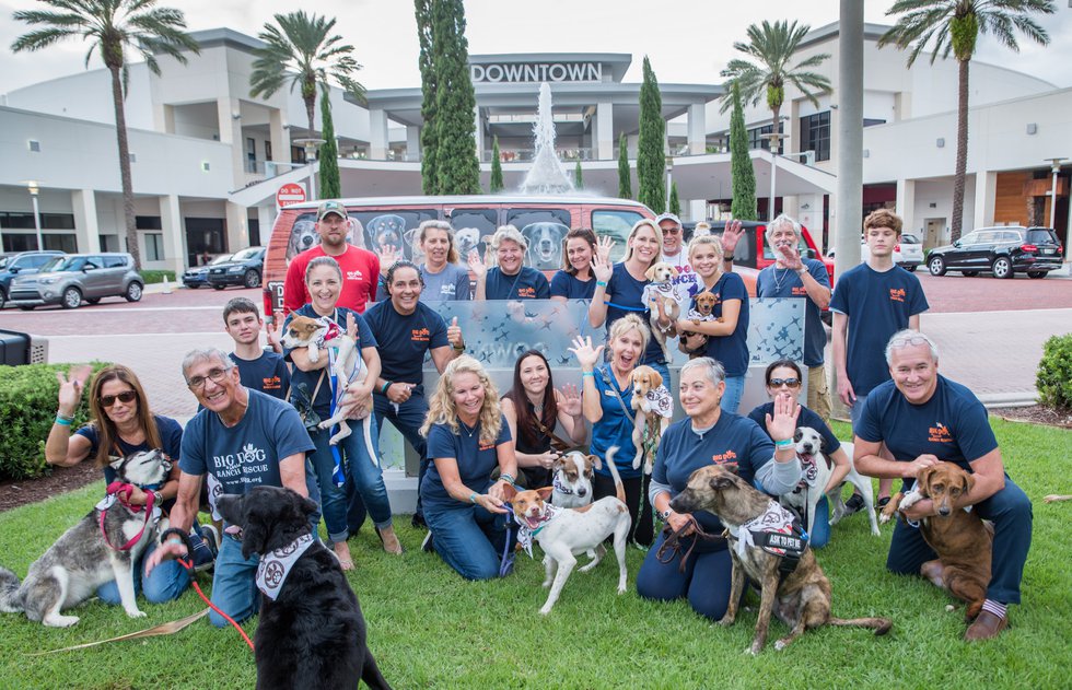 Barks and Brew - photo by Tracey Benson Photography.jpg