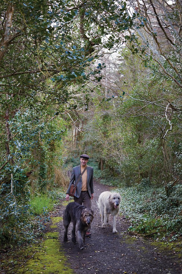 Foraging at Ashford Castle - Philippe Farineau, Executive Chef and Forager (1).Ashford Castle wolfhounds.jpg