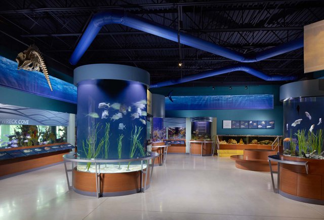 Science Center Aquarium_web.jpg