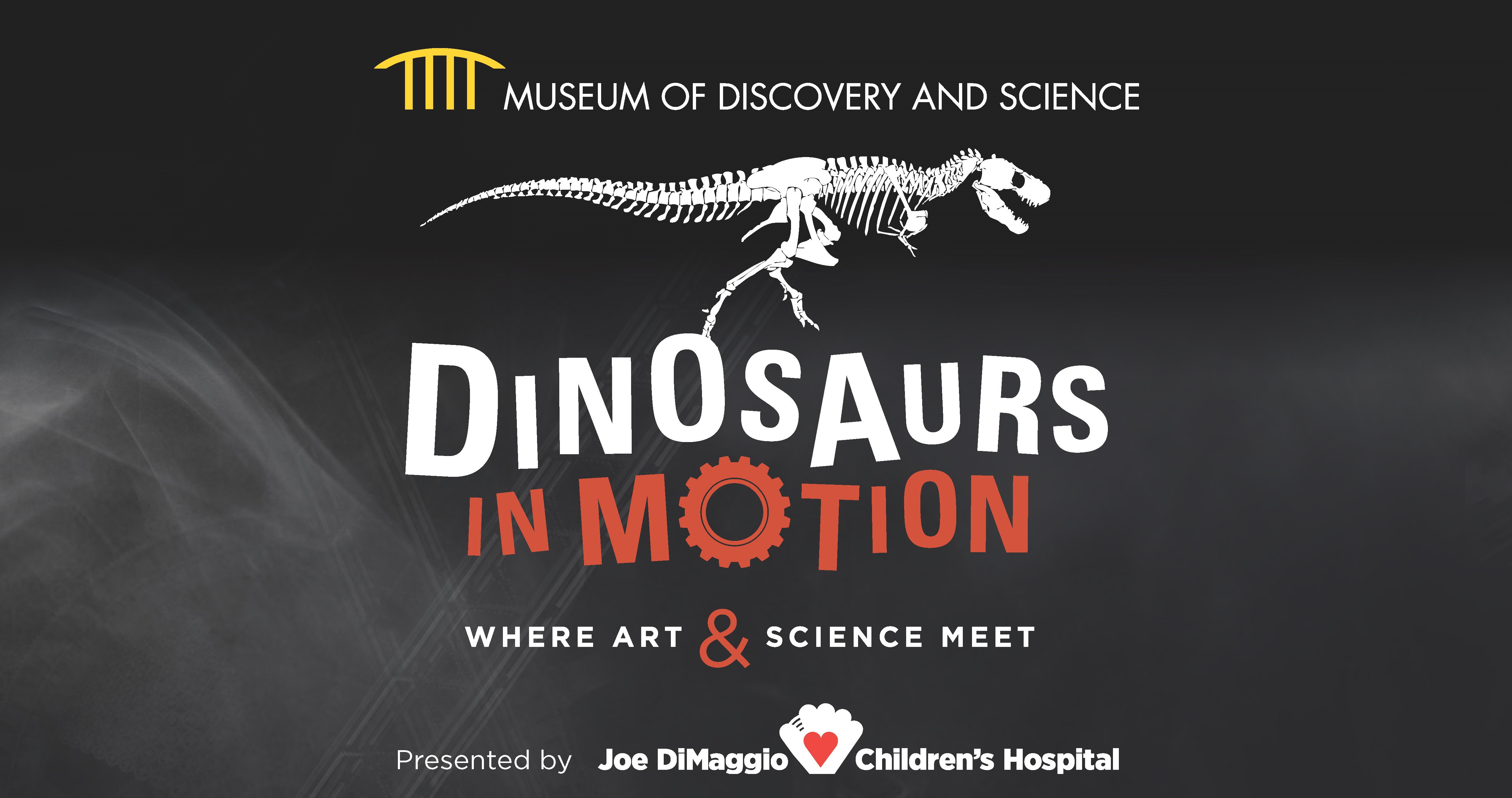 Art Meets Science  The Children's Museum