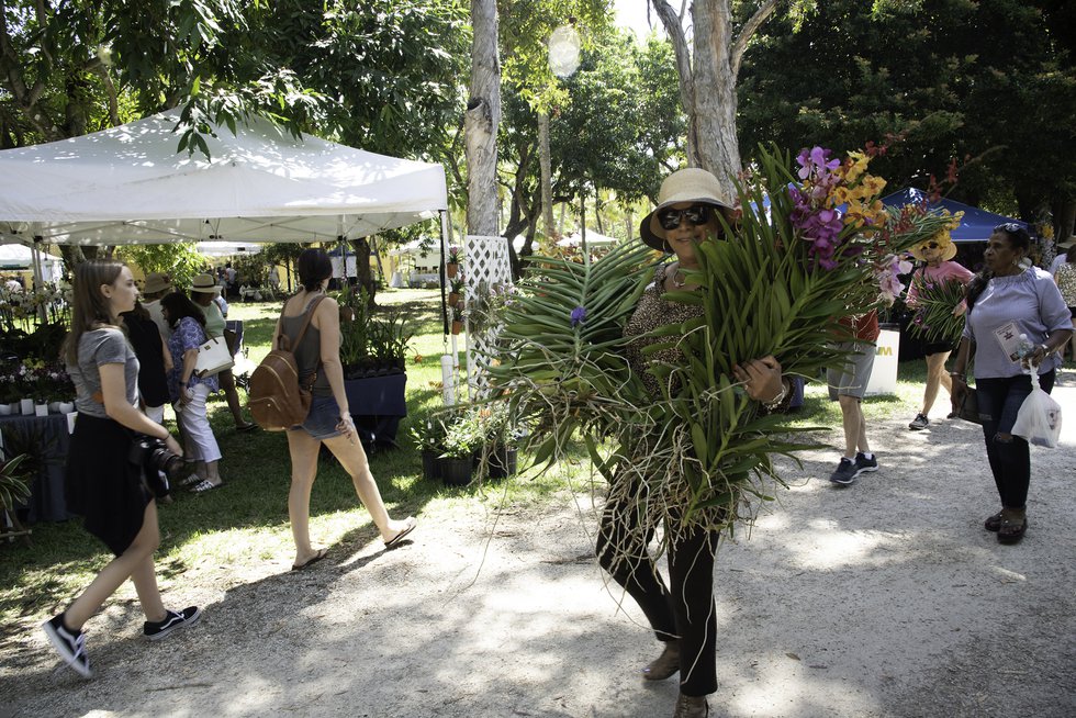 P1. Photo from the 2019 Bonnet House Orchid and Garden Festival.jpg