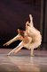 Ballet Palm BeachSleeping Beauty; PC Harris_web.jpg