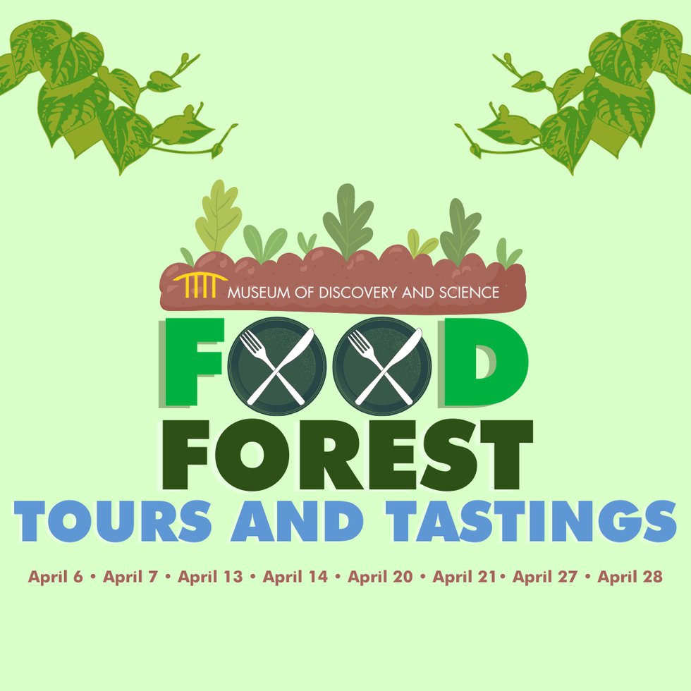 Food Forest tour and tastings (1080 x 1080 px) - 1