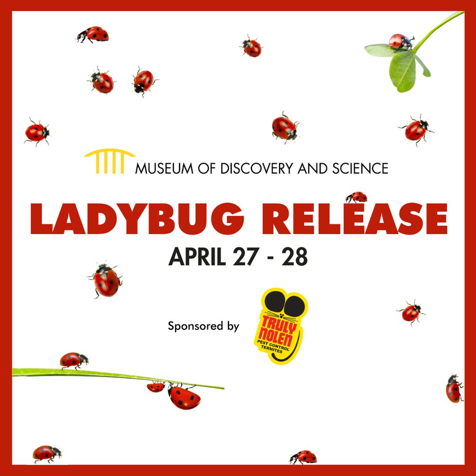 Ladybug Release (1080 x 1080 px) - 1