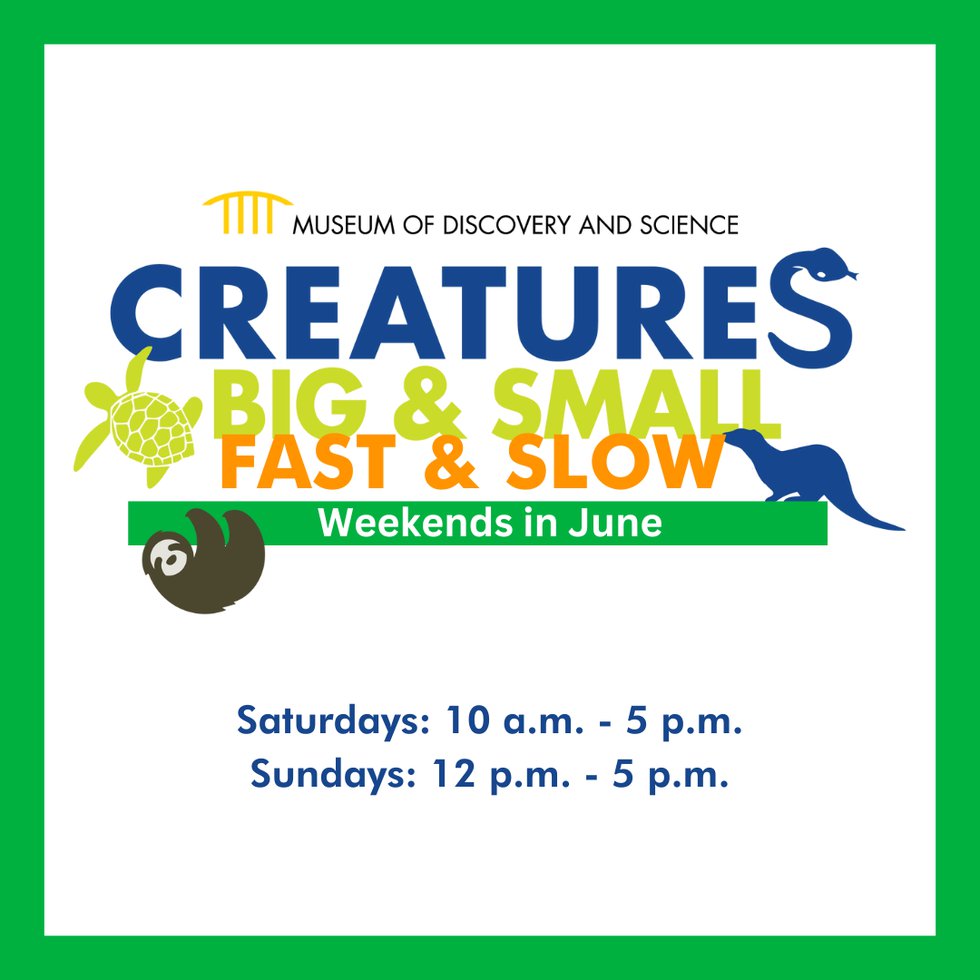 Creatures Fast and Slow - 1080 x 1080px - 1