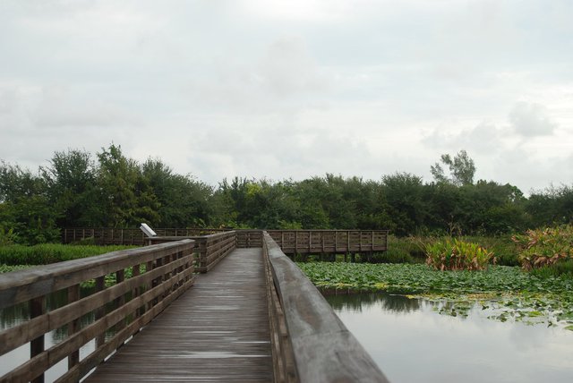 Wakodatahatchee 2.jpg