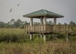 Pondhawk Natural Area 2.jpg