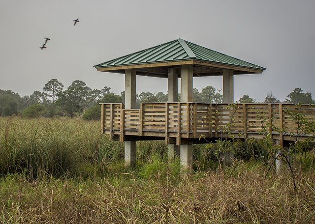 Pondhawk Natural Area 2.jpg