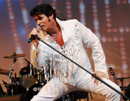 ElvisWebsiteImage2.jpg