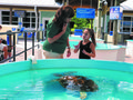 Photo 1_ Jennifer Reilly conducting an ASL tour at Loggerhead Marinelife Center.jpg