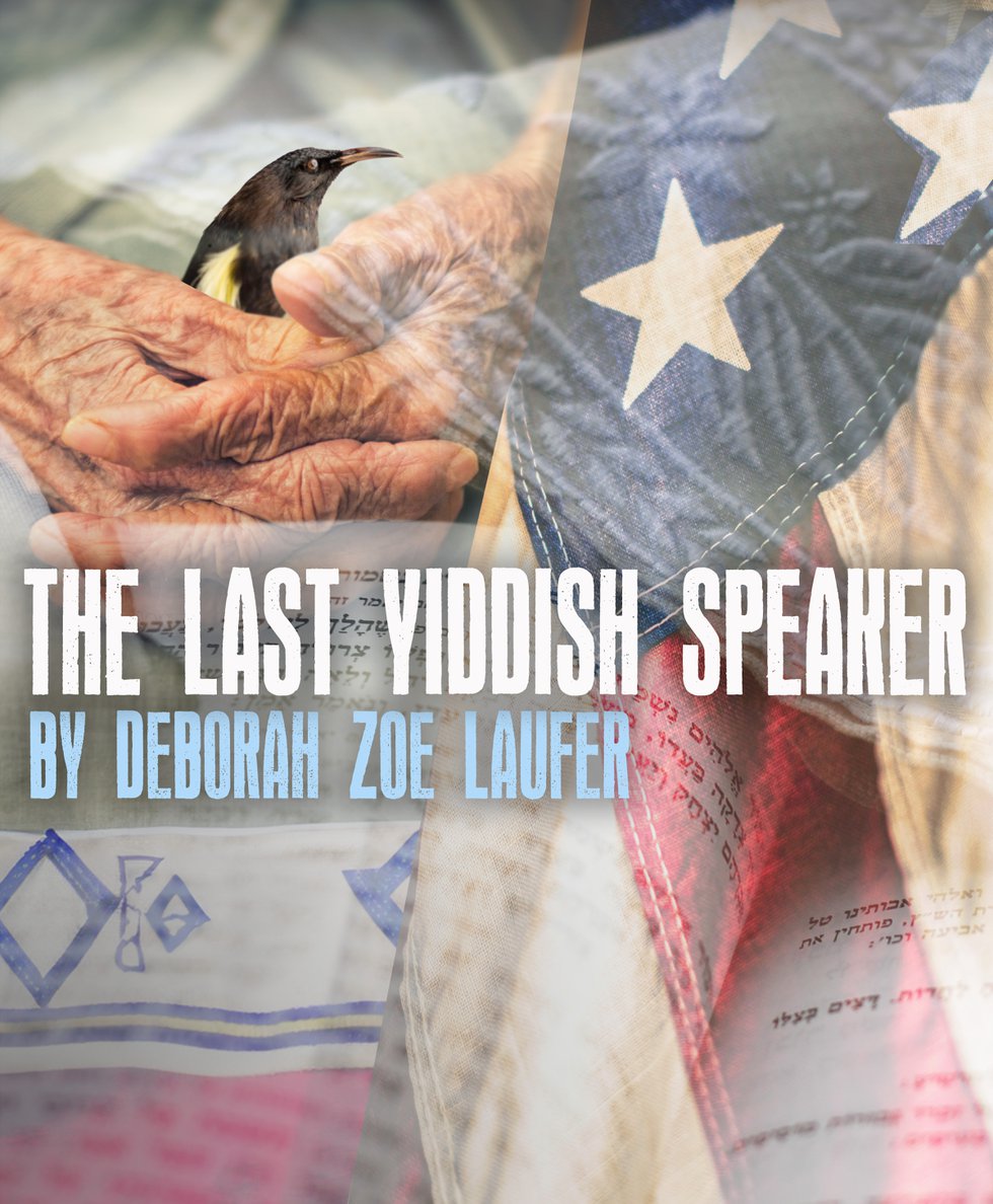 The Last Yiddish Speaker.jpg