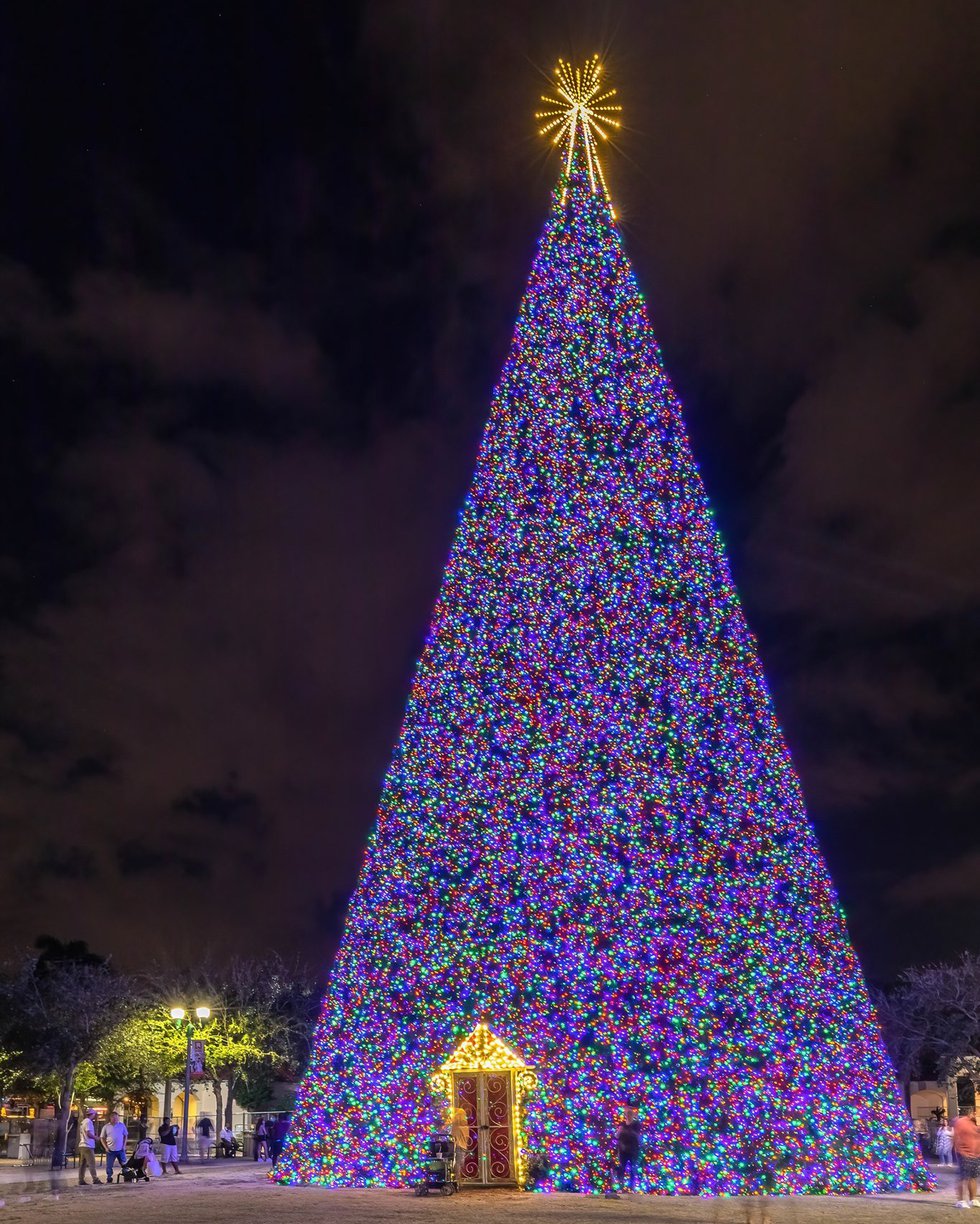 100 foot Christmas Tree.jpeg