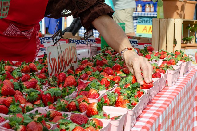 South Florida Strawberry Festival.jpg