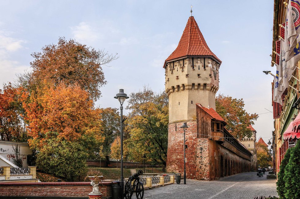 Sibiu Tower_web.jpg
