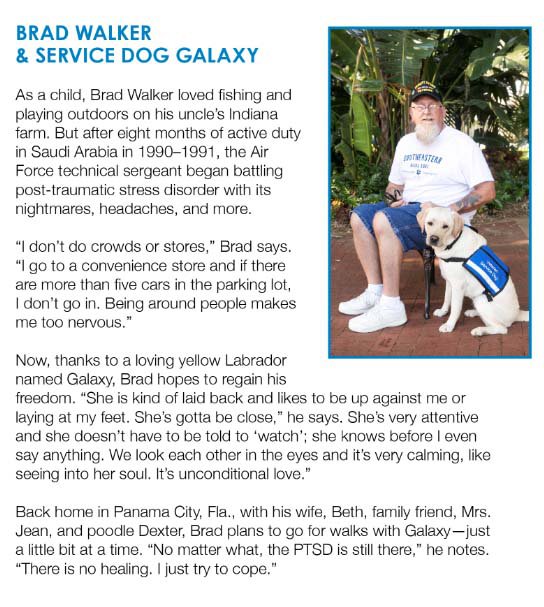 Brad_Walker_and_Galaxy Veteran Service Dog Team Sponsored by Vets Helping Heroes_web.jpg