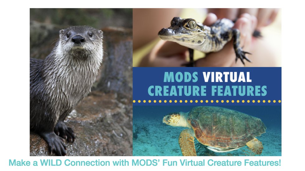 MODS Creature Features Graphic.png