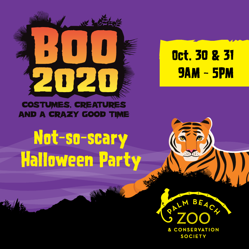 BOO2020-Purple Sqaure Tiger.png