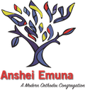 Anshei Logo RGB .png