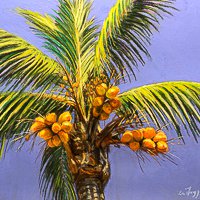 LaFogg_Picturesque_Pastels_coconuts_200x200px.jpg