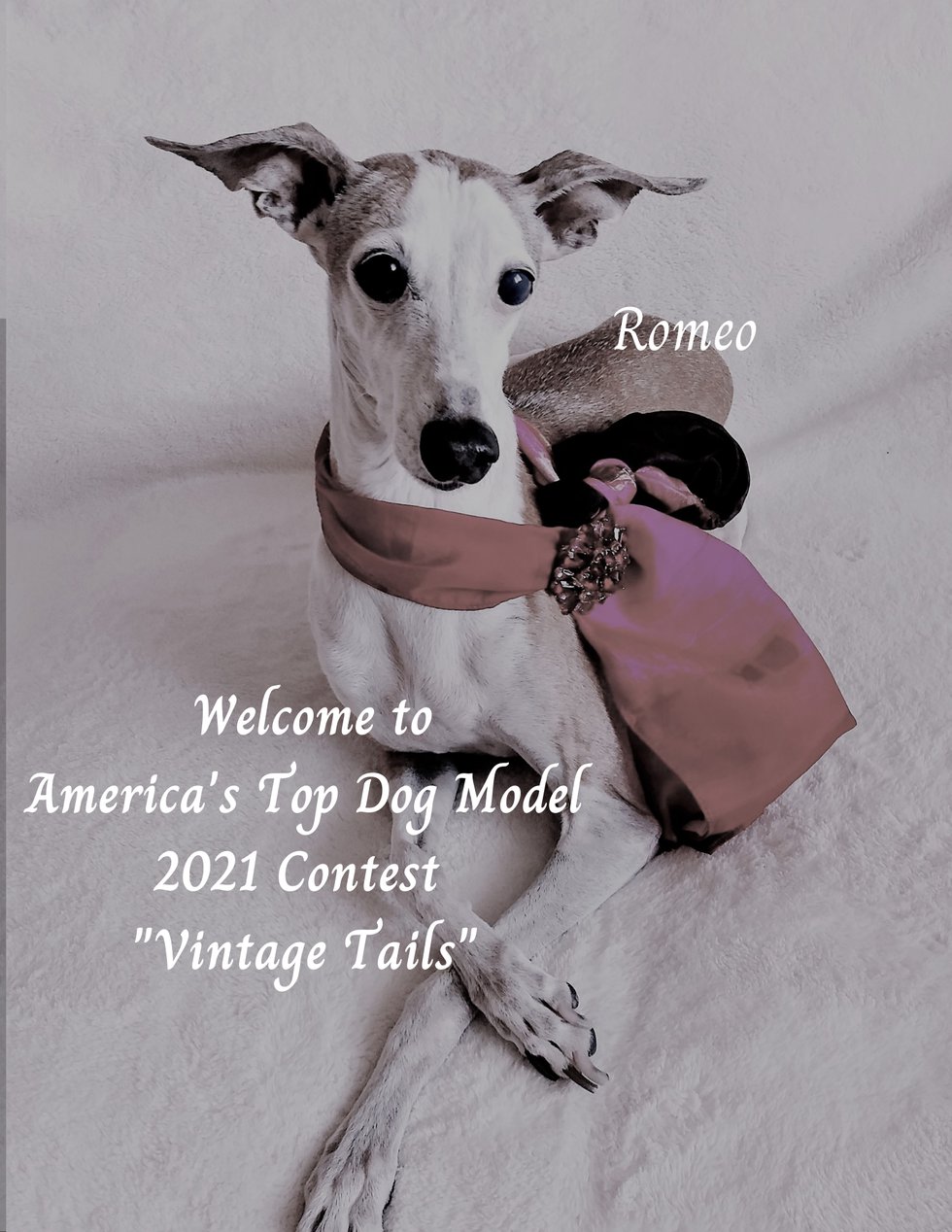 Romeo Vintage Contest Announcement.png